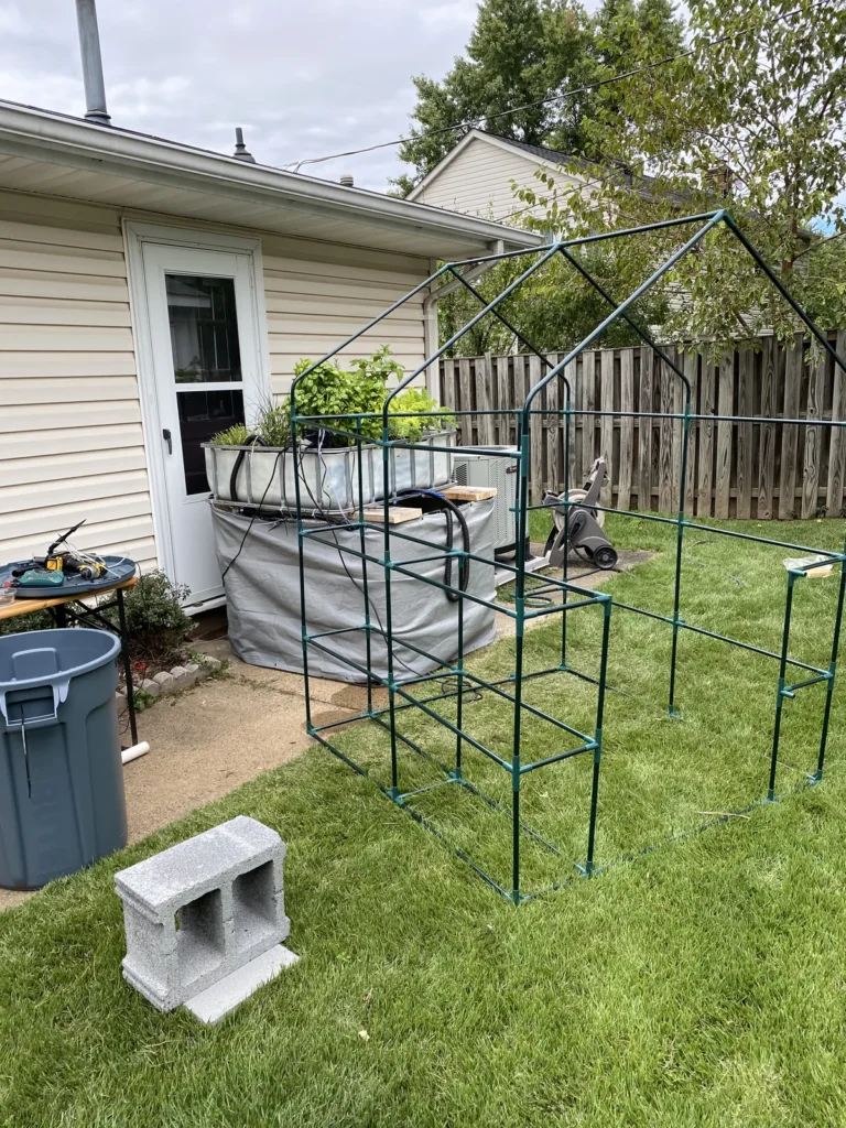 Greenhouse frame being assembled around a backyard IBC aquaponics system