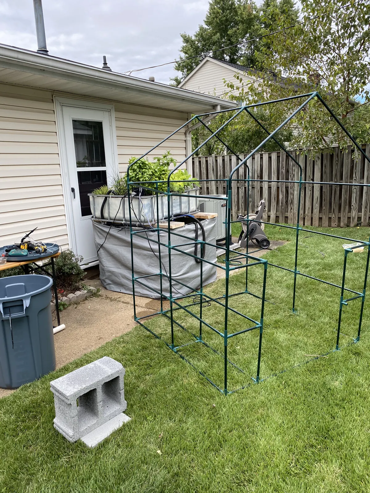 Greenhouse frame being assembled around a backyard IBC aquaponics system