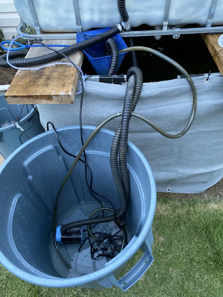 Aquaponics pump, hoses, and bucket arranged beside an IBC system for maintenance