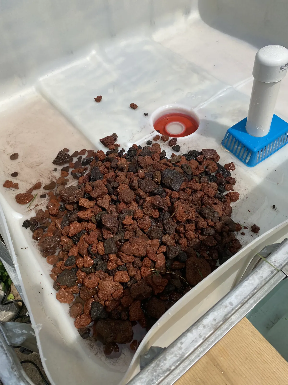 Aquaponics grow bed during setup with standpipe and drain components visible