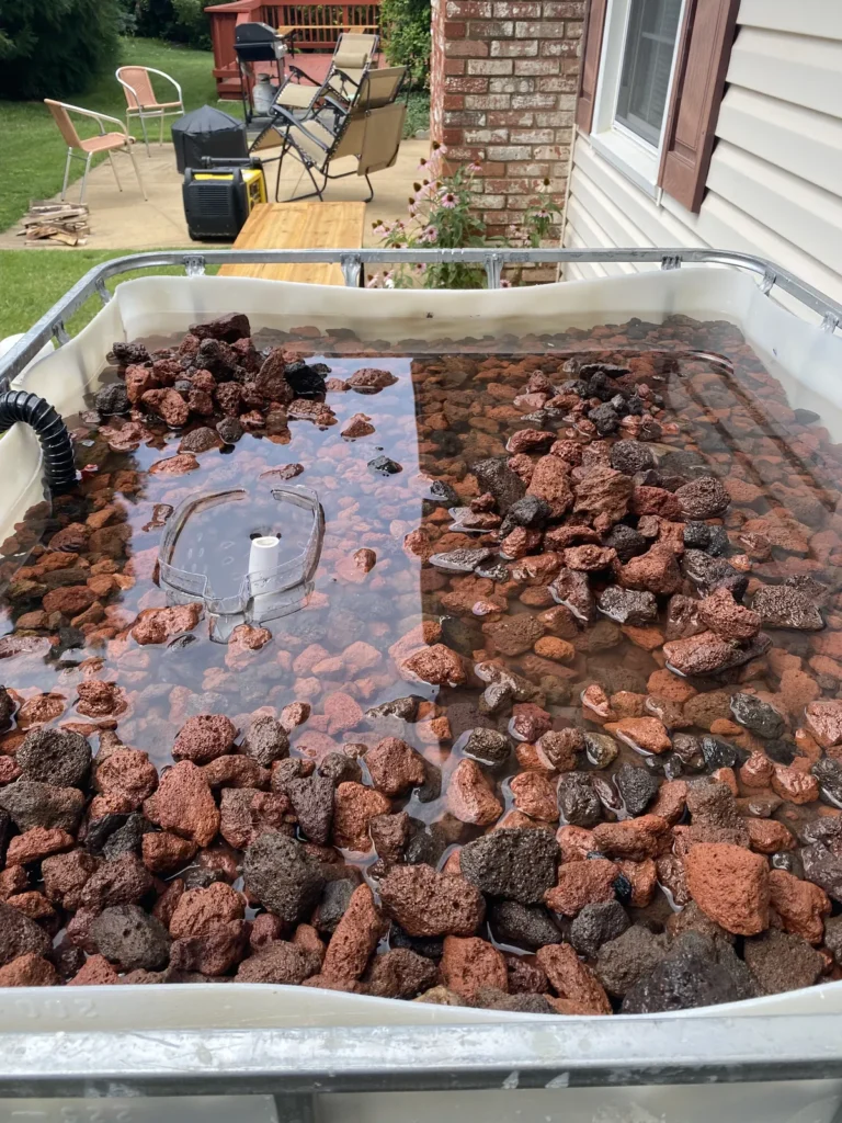Flooded aquaponics grow bed filled with coarse red media