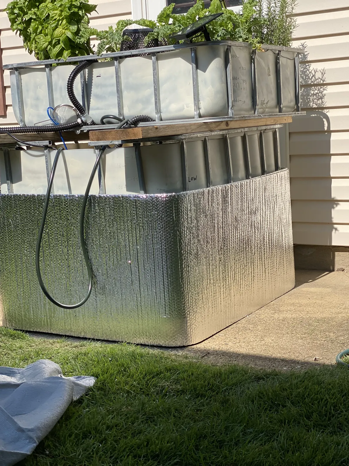 IBC aquaponics fish tank wrapped in reflective insulation