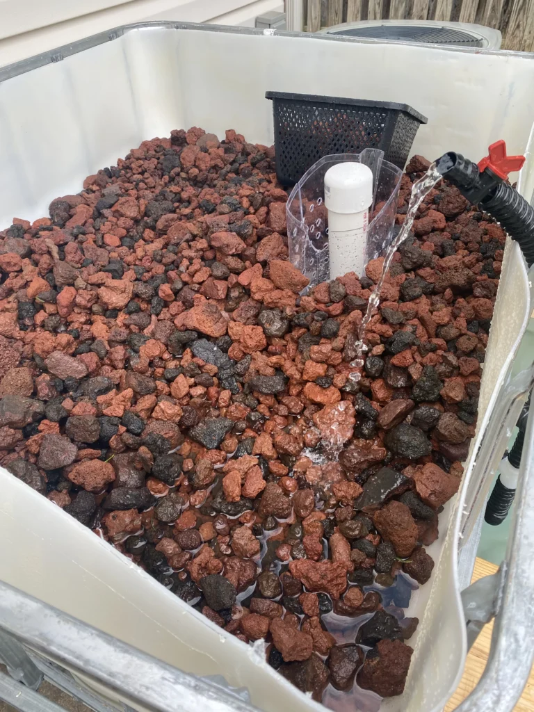 IBC aquaponics grow bed showing lava-rock media and the drain area during system setup