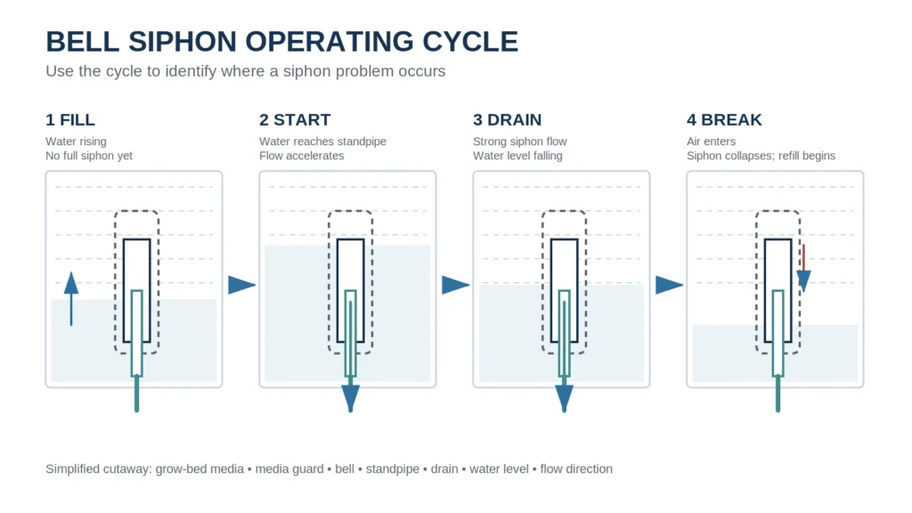 Four-stage aquaponics bell siphon cycle diagram showing fill, start, drain, and break stages with water levels, standpipe, bell, media guard, drain, and flow arrows.