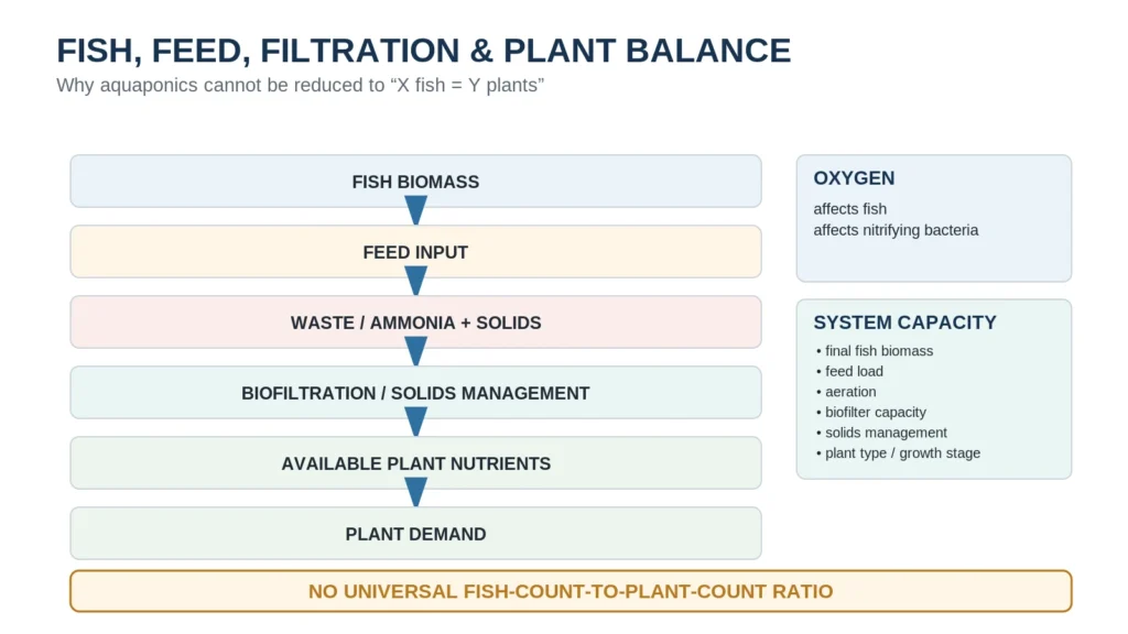 Aquaponics balance diagram linking fish biomass, feed input, waste, biofiltration, available plant nutrients, and plant demand, with oxygen and system-capacity factors.