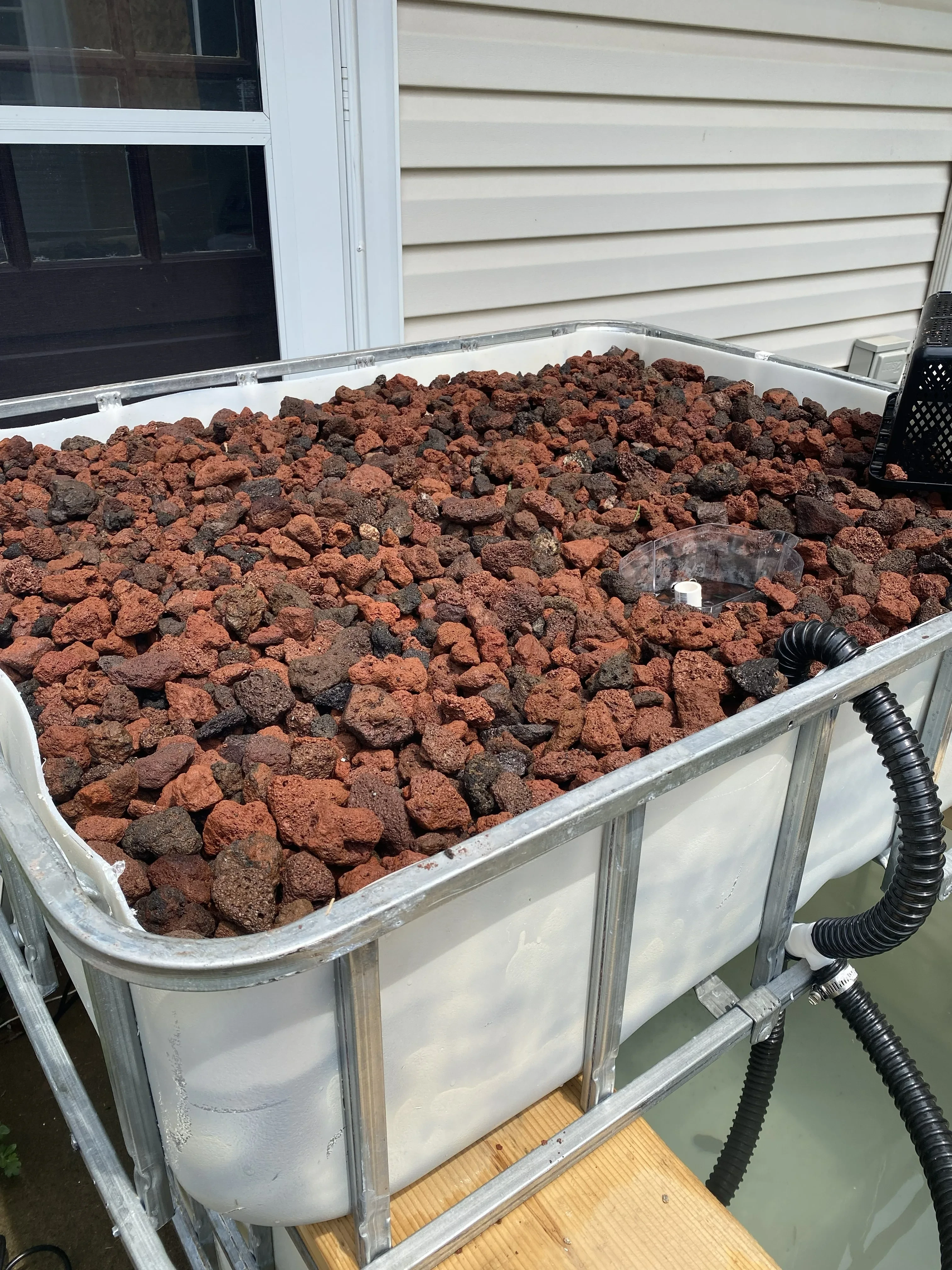 Lava rock media in an aquaponics grow bed